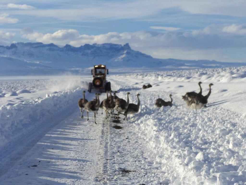 Apart El Nevado Malarguee المظهر الخارجي الصورة